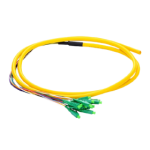 1.5m (5ft) LC APC 12 Fibers OS2 Single Mode Bunch PVC (OFNR) 0.9mm Fiber Optic Pigtail #42312 Supplier in Dubai UAE