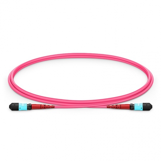 68041.main 1m (3ft) MTP®- 24 (Female) to MTP®- 24 (Female) OM4 Multimode Elite Trunk Cable, 24 Fibers, Type A, Plenum (OFNP), Magenta Supplier in Dubai UAE - Image 1