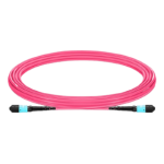 5m (16ft) MTP®-12 (Female) to MTP®-12 (Female) OM4 Multimode Elite Trunk Cable, 12 Fibers, Type A, Plenum (OFNP), Magenta Supplier in Dubai UAE