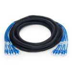 3m (10ft) 6 Plug to 6 Plug Cat6 Unshielded (UTP) PVC CMR Blue Pre-Terminated Copper Trunk Cable Supplier in Dubai UAE