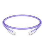 3ft (0.9m) Cat6 Snagless Unshielded (UTP) PVC CM Ethernet Network Patch Cable, Purple Supplier in Dubai UAE