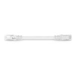 6in (0.15m) Cat6a Snagless Shielded (SFTP) PVC CM Ethernet Network Patch Cable, White Supplier in Dubai UAE
