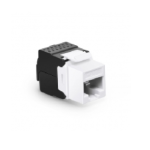 Cat5e RJ45 (8P8C) Unshielded Toolless Keystone Jack Module  Supplier in Dubai UAE
