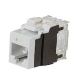 Panduit Cat 6 A Keystone NK6X88MAW Supplier in Dubai UAE.