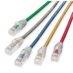 Molex PCD-04045 Cat6 Patch Cord Supplier in Dubai UAE