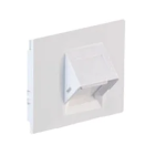 Belden NN01529- EUROMOD ANGLED SHUTTERED ADAPTOR , MDVO & KEYCONNECT Supplier in Dubai UAE