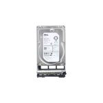 Dell 400-ASNK 4TB 7.2K RPM 3.5-inch NLSAS 12Gbps 512n Hot-Plug Hard Drive Price in Dubai UAE
